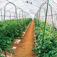 セキスイ　アーチ支柱