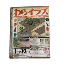 わらイラズ　BSG　シルバー