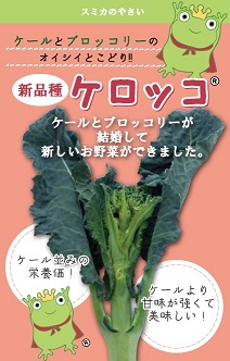 ケロッコ（種）　ケール×ブロッコリー
