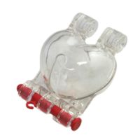 ハートのトマト