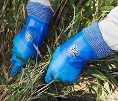 ジャージテムレス