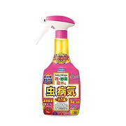 カダンプラスＤＸ