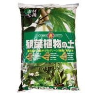 観葉植物の土