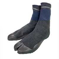 田植タビ　BP300