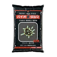 バイオ炭ダルマ