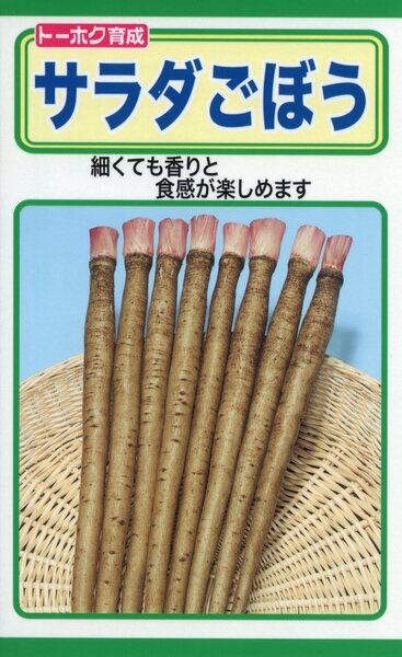 サラダごぼう
