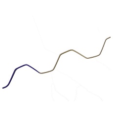 ステンレスソフトスプリング