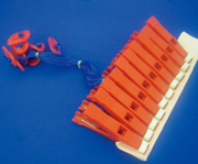 セキデンピンチ