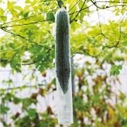 曲がり解消で収益アップ「スマート」