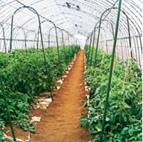 アウトレットセキスイアーチ支柱ワイド　径16mm