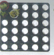 底面給水インナートレー 100枚セット