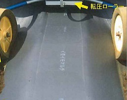 イモイモマルチ　黒