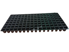 タキイ根巻防止セルトレイ（ストロングＭ型）