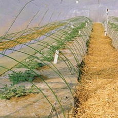 ニューセキスイポール 径8.5mm