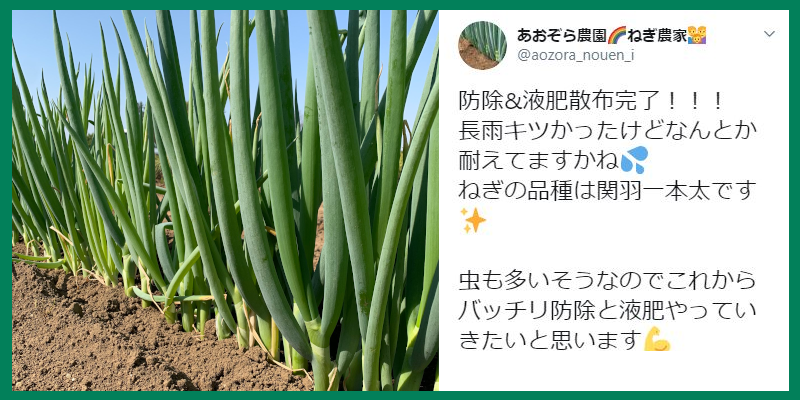 アンバサダーレビュー1