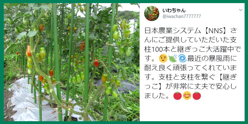 アンバサダーレビュー2