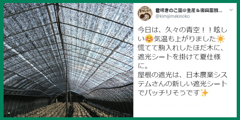 アンバサダーレビュー1