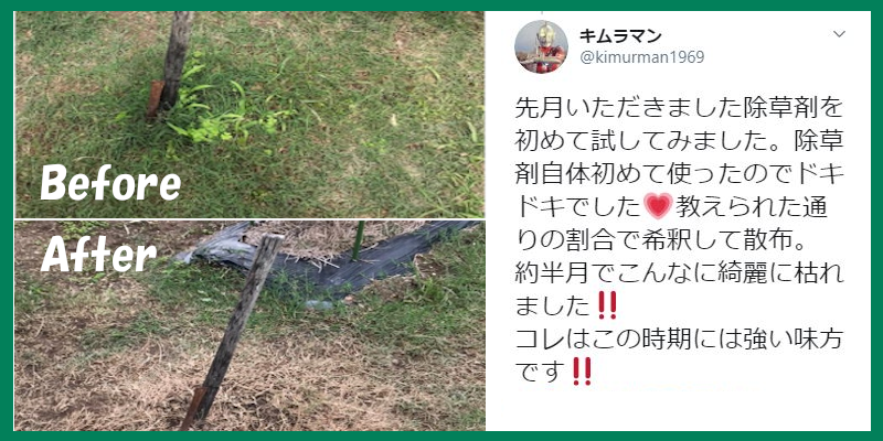 アンバサダーレビュー1