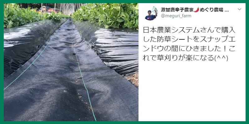 アンバサダーレビュー2