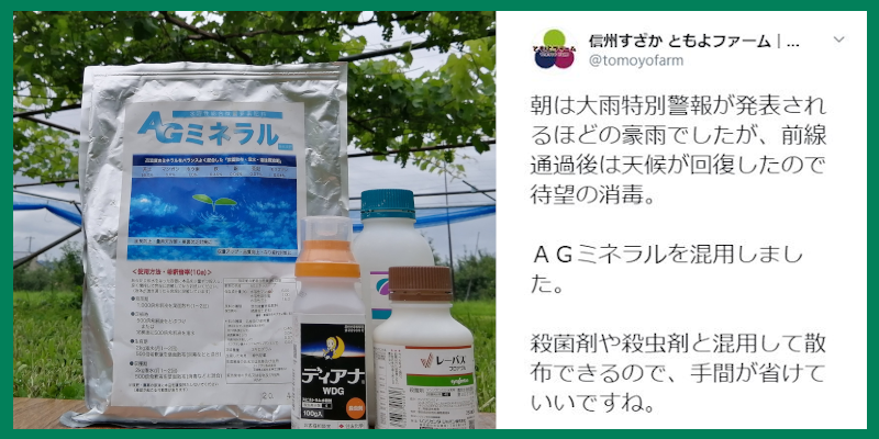 アンバサダーレビュー2