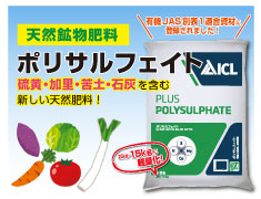 ポリサルフェイト