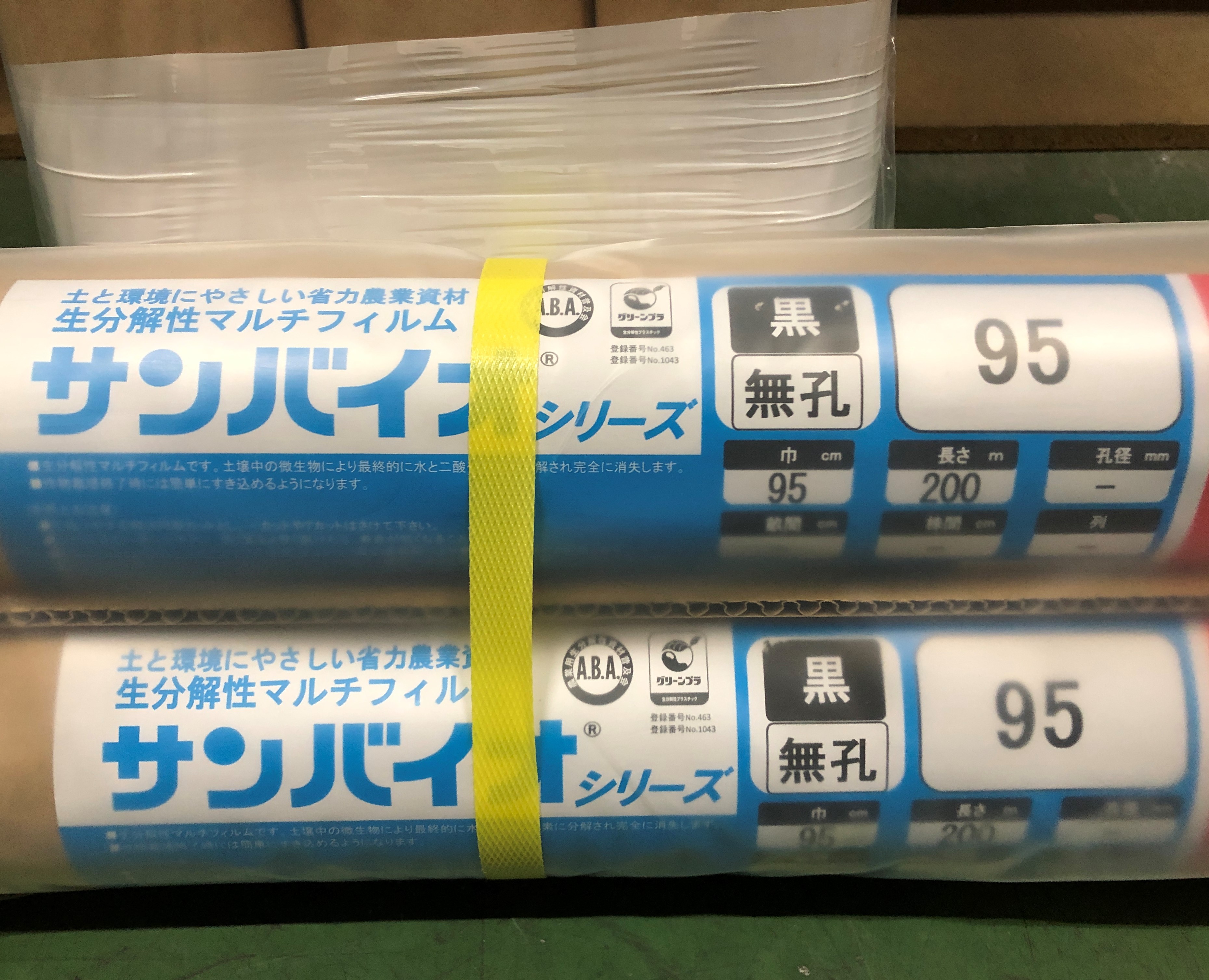 サンバイオ黒無孔