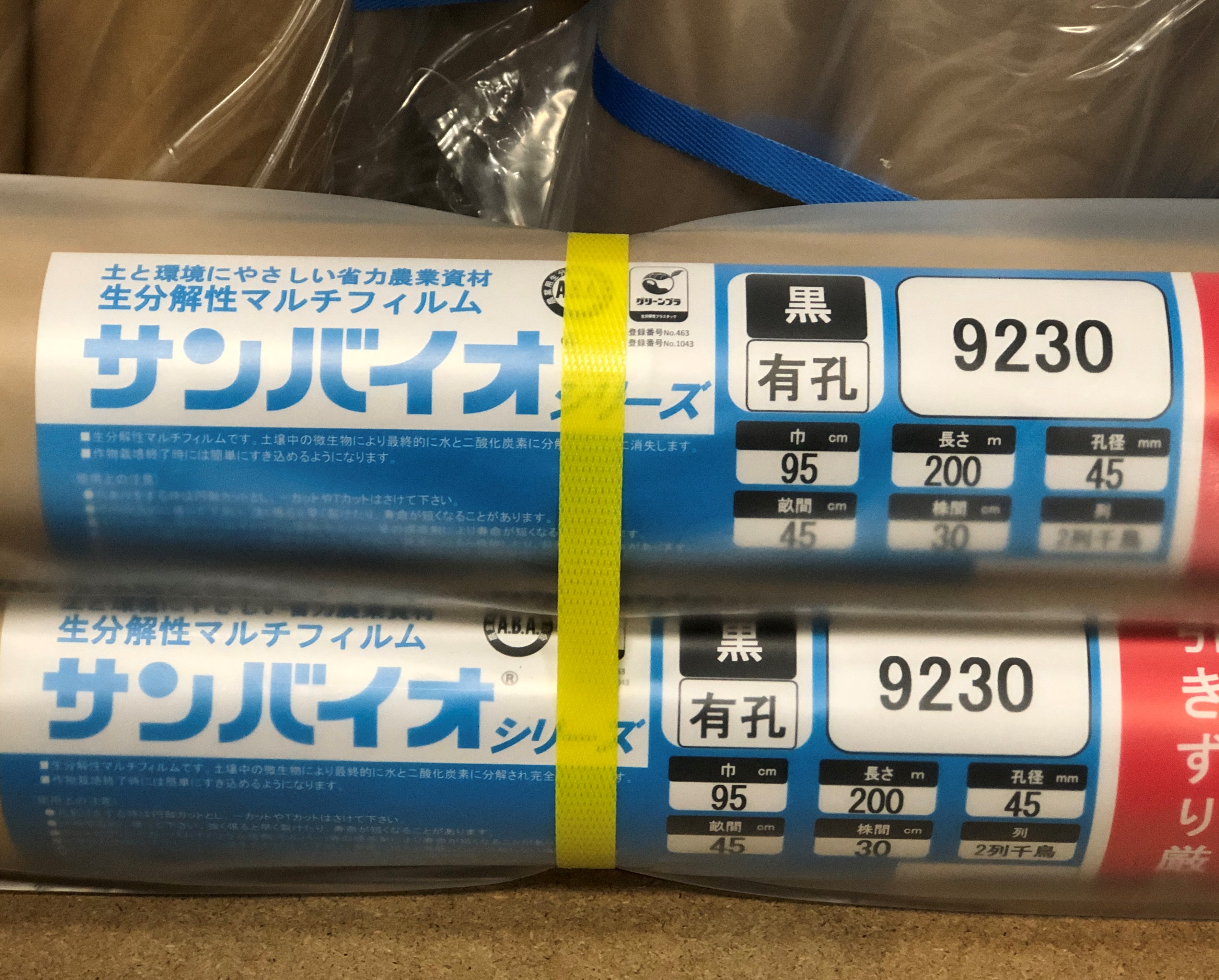 サンバイオ黒有孔