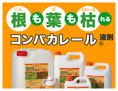 コンパカレール