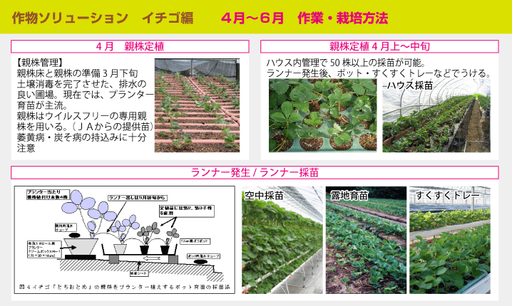 いちご用資材 苺 イチゴ 農業資材通販 品揃え 低価格の日本農業システム