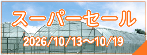 スーパーセール