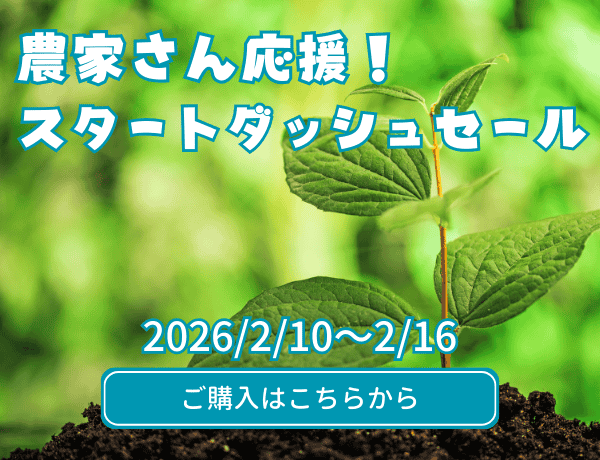 スタートダッシュセール