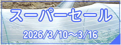 スーパーセール