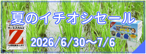 夏のイチオシセール