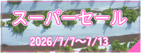 スーパーセール