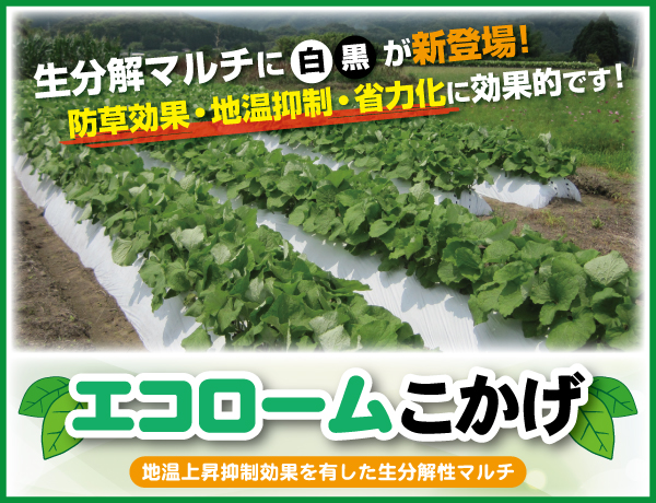 エコロームこかげ