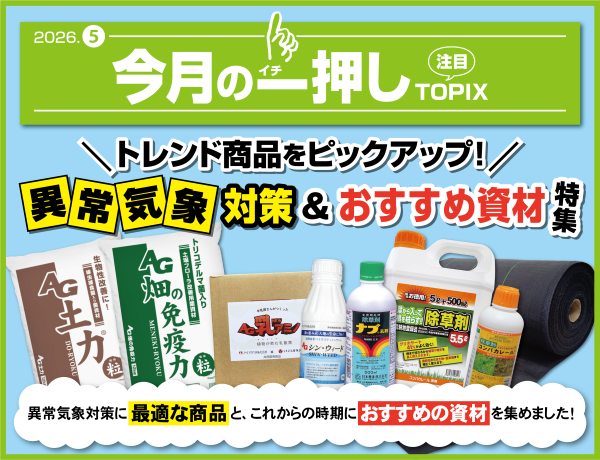今月の一押し