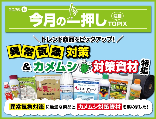 今月の一押し