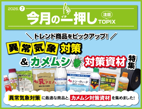 今月の一押し