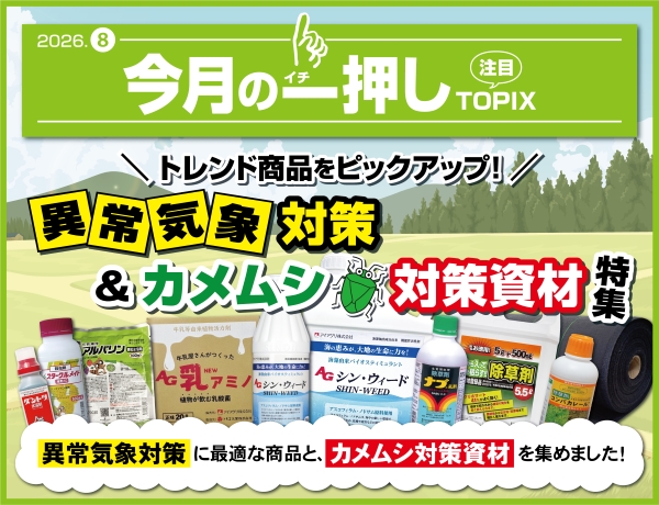 今月の一押し