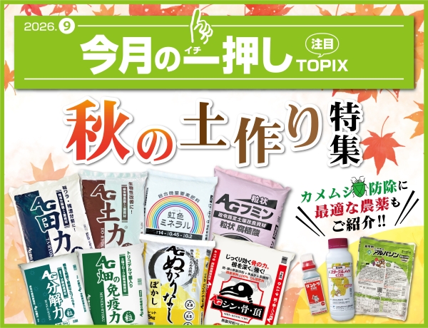 今月の一押し