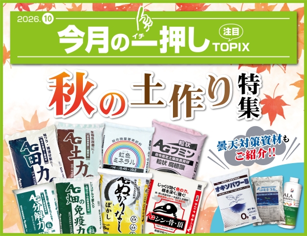 今月の一押し
