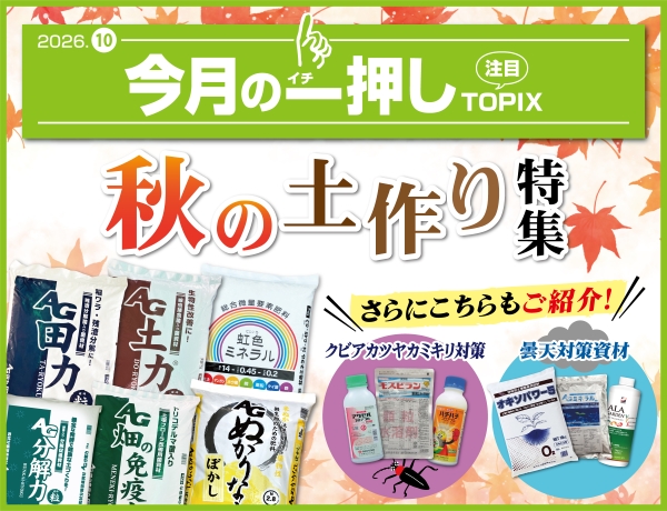 今月の一押し