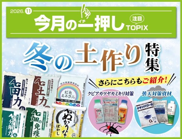 今月の一押し