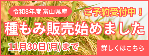 種もみ予約販売