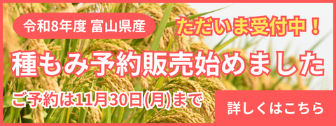 種もみ予約販売